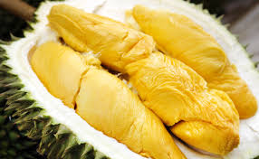 DURIAN SEGAMAT